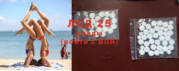 крисы Новокубанск