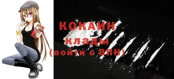 крисы Новокубанск