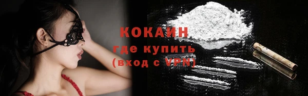 крисы Новокубанск
