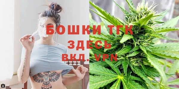 бошки Новодвинск