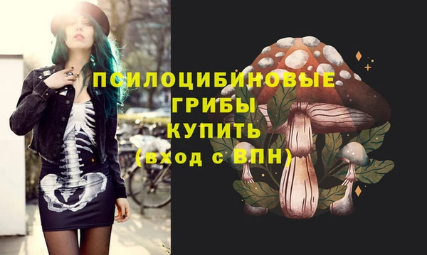 гидропоника Новозыбков