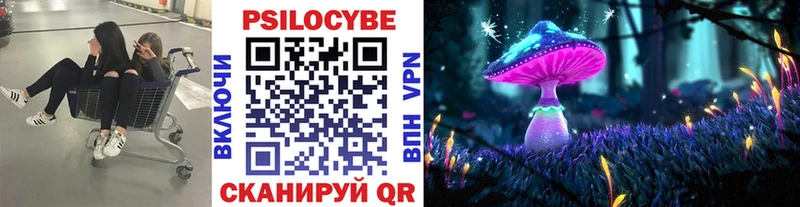 сколько стоит  Бакал  Галлюциногенные грибы Magic Shrooms 